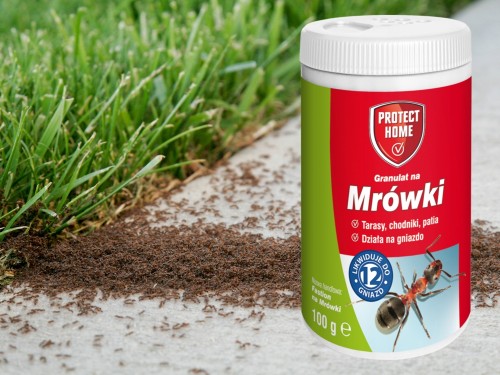 Proszek przeciwko mrówkom FASTION Protect Home 100G