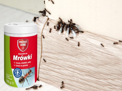 Proszek przeciwko mrówkom FASTION Protect Home 100G