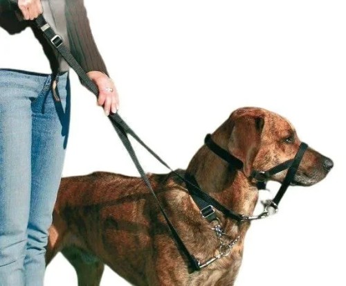 Szelki treningowe rozm XL Trixie