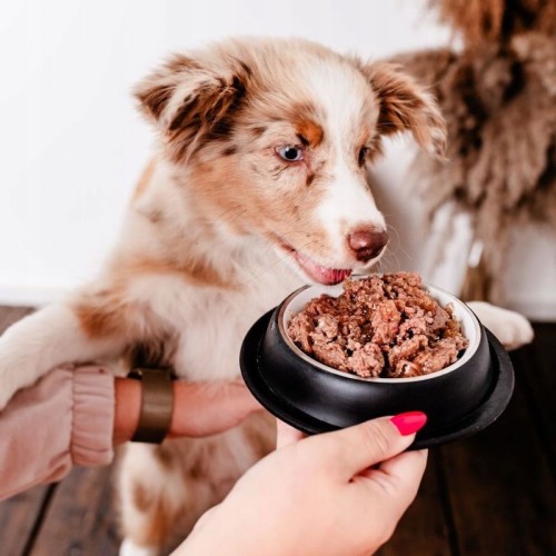 Perro Gourmet monobiałkowa karma mokra jeleń z gruszką junior 800g dla psa
